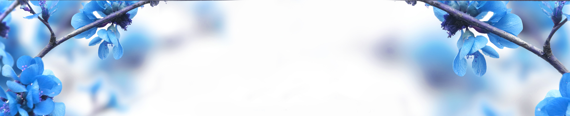 0e045f_0027e2cf3e034ef58d5666a8ac6a0f49~mv2