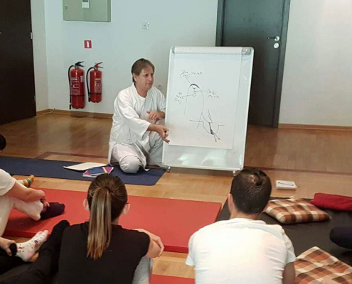 מה זה סייקי שיאצו