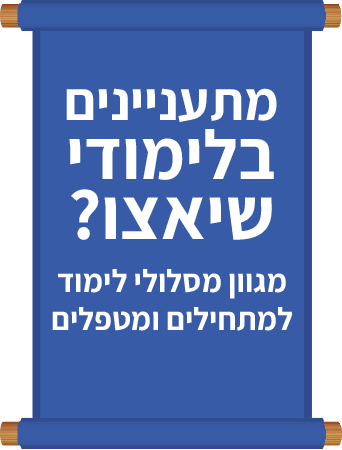 מתעניינים בלימודי שיאצו? מגוון מסלולי לימוד למתחילים ומטפלים